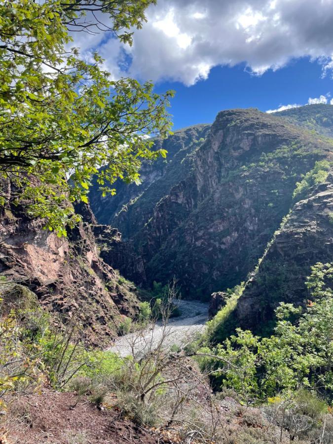 Gite De La Mairie Des Gorges De Daluis Luaran gambar
